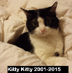 Kitty Kitty .2001-2015